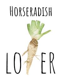 Horseradish